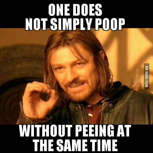 one does not simply poop without peeing at the same time